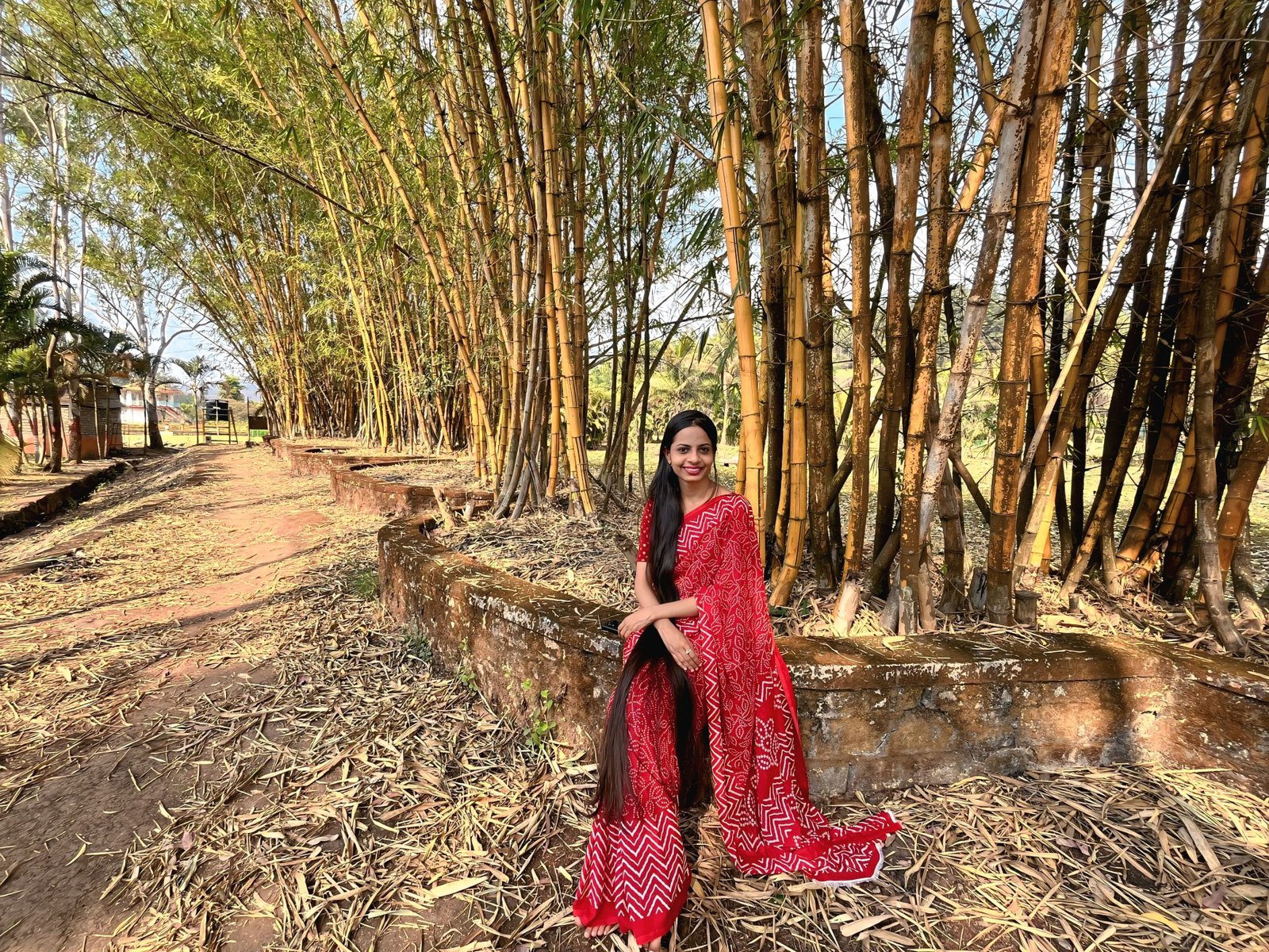 Red Georgette Bandhani Print Saree image 2