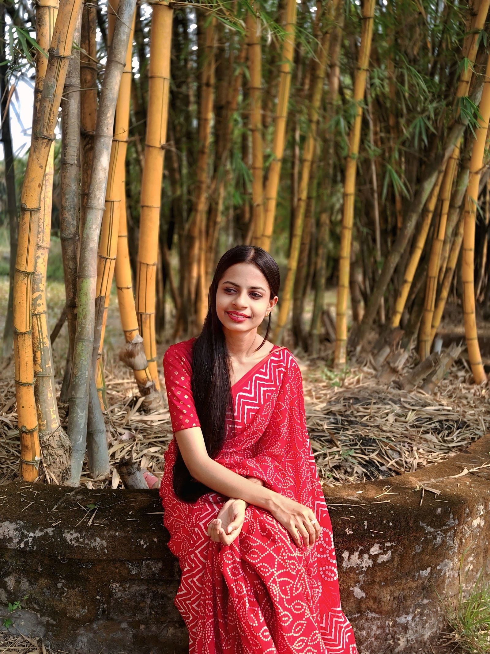 Red Georgette Bandhani Print Saree image 3